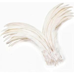 Holmgren Off-White Rooster Tail Feathers - 60pcs 12-14inch Large Rooster Tail Feathers Bulk for DIY Crafts, Wedding Party Performances Christmas DecorationOff White)