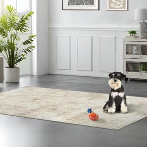 Abstract Washable Entryway Rug 3x6: Non Slip Small Contemporary Indoor Floor Mat for Hallway Kitchen Bedroom Bathroom - Ultra Soft Easy Clean Thin Throw Runner Rugs for Dog Kids Family 3x6 Beige