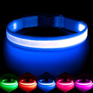 Vizpet LED Dog Collar, Light Up Dog Collar Adjustable USB Rechargeable Super Bright Safety Light Glowing Collars for Dogs(Small,Blue) (Small[11.02-15.74 inch])