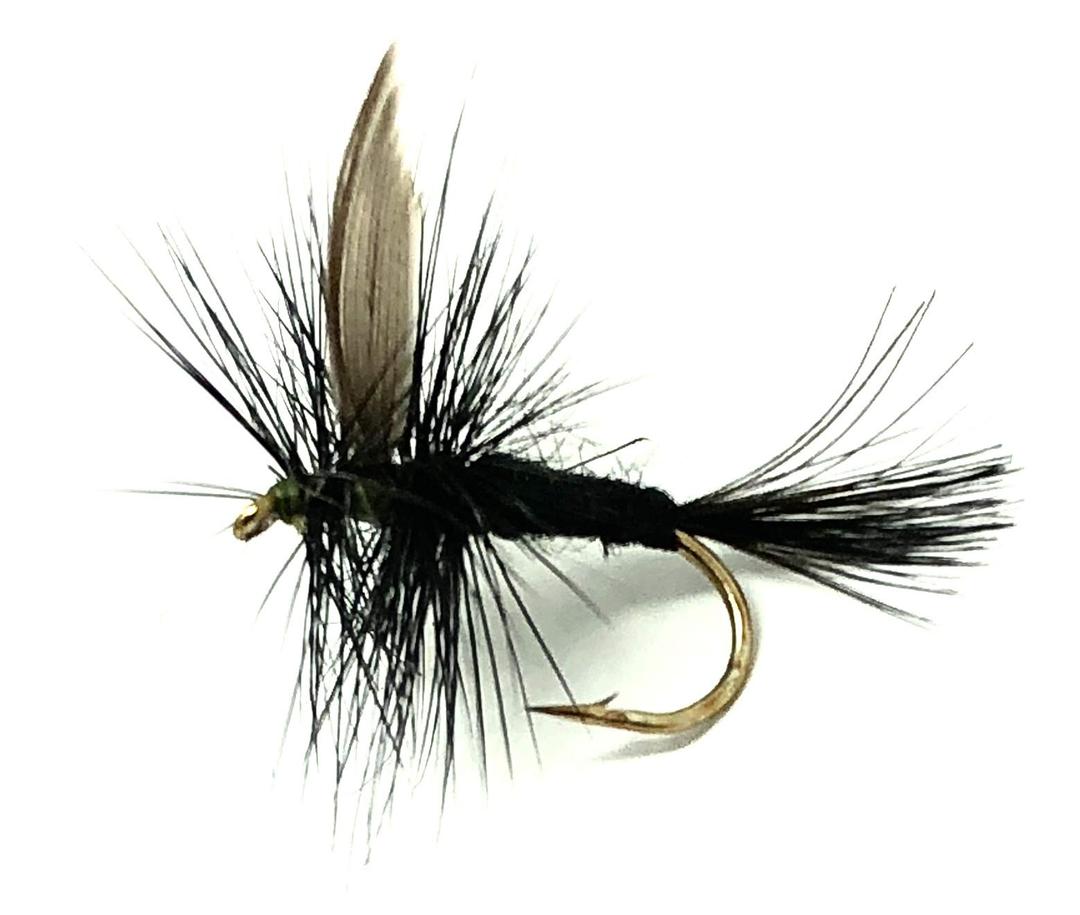 Feeder Creek Black Gnat Dry Flies, One Dozen Nymph Flies for Trout, Bass, Salmon and More Freshwater Fish, Size 10, 6 Pack Feeder Creek Black Gnat Dry Flies, One Dozen Nymph Flies for Trout, Bass, Salmon and More Freshwater Fish, Size 10, 6 Pack
