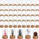 50 Pack Cloche Bell Jar, Mini Glass Jars with Cork Lids, 8ml Glass Dome Cloche with Base, Decorative Display Dome for Specimen, Flower Storage, Arts Dispaly, Party Favor