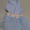 CuteBone Blue Tulle Skirt Dog Wedding Bridesmaid Dress for Puppy with Lace Trim at Waist - Comfortable, Stylish, and Perfect for Special Occasions HBQ03M (Medium)