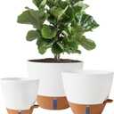 8/10/12 Inch Self-Watering Pots for Indoor/Outdoor Plants - Large Plastic Planter with Drainage Holes, Water Level Indicator & Deep Reservoir, Modern Decorative Flower Pots (White)