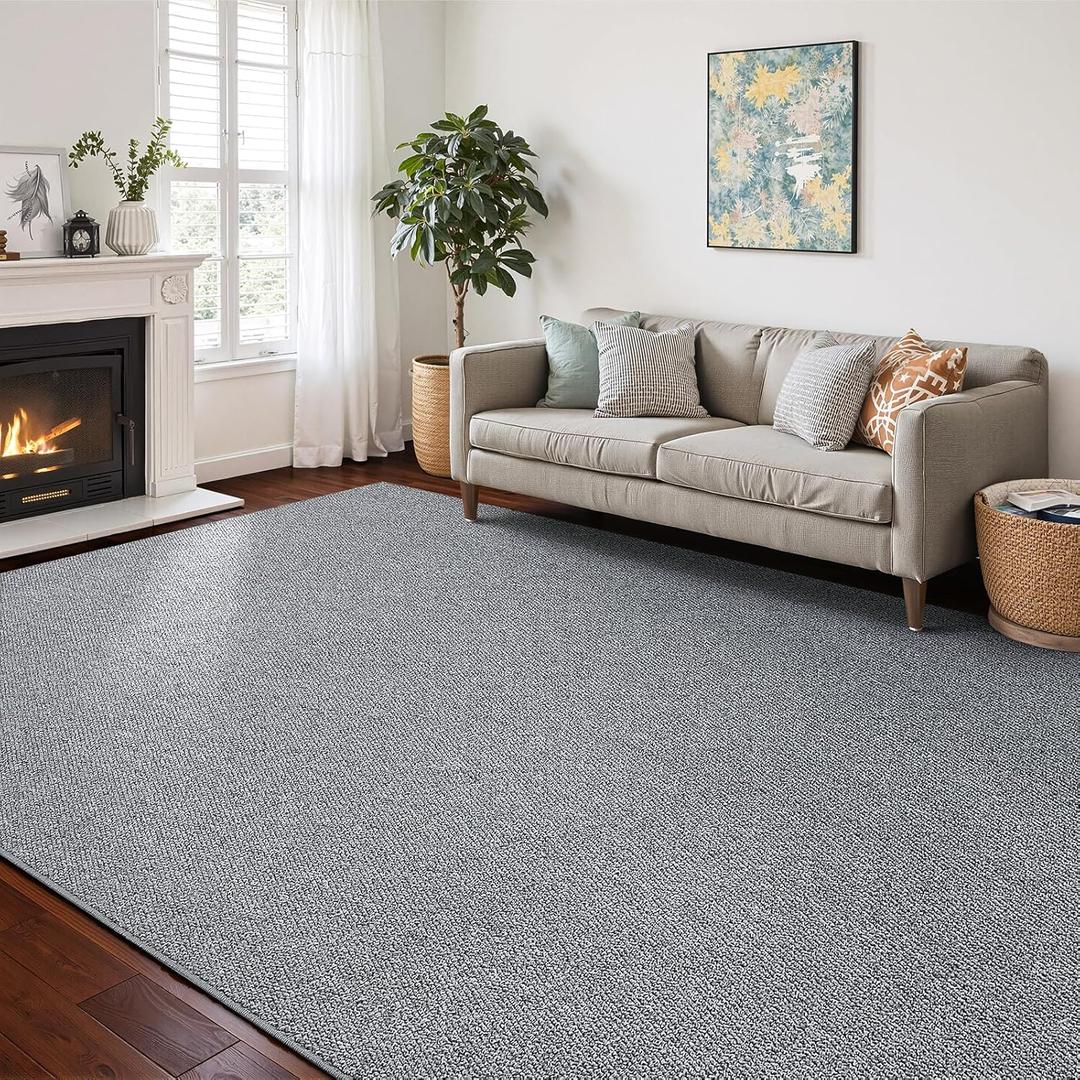 Washable Area Rug 4x6 Feet Grey Non Slip Living Room Kitchen Rugs Indoor Entryway Rug Floor Carpet for Dining Living Room Bedroom