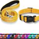 Reflective Dog Collar with Safety Locking Buckle, Adjustable Soft Breathable Nylon Collars for Small, Medium and Large Dogs(Collar+Leash XS Width 5/8" Yellow)