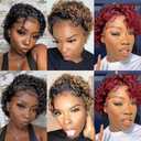 Burgundy Short Curly Pixie Cut Lace Front Wigs 6 Inch Human Hair 13X1 HD Lace Front Wigs Pre Plucked with Baby Hair for Black Women (6 Inch, Burgundy)