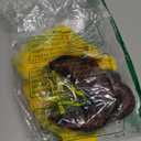 Disney for Pets Halloween Princess Belle Dog Costume - Officially Licensed Halloween Costumes for Dogs, Size Small (Yellow)