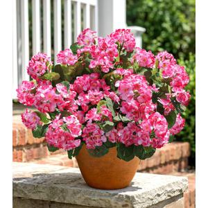 Artificial Geranium Fake Flowers for Outdoors Decoration, 6 Bundles Silk Geraniums Pink Flower UV Resistant Look Real Faux Plants for Outside Planter Front Door Garden Porch Patio Balcony Yard Home
