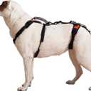 Help 'Em Up® - Dog Lift Harness│ Adjustable Lifting Harness for Dogs │ Full Body Support, Rear Leg Support (Conventional, Medium, 45-80 lbs)