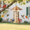 LBTING Bird Feeder for Outside, Squirrel Proof Bird Feeder, Wild Bird Feeders for Hanging Outdoor Garden Yard, Metal Acrylic Lantern-Shaped