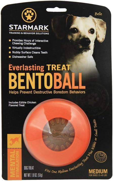 Starmark Everlasting Treat Bento Ball Tough Dog Chew Toy Medium