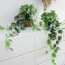 Fake Pothos Hanging Plants - 33" Artificial Silk Ivy Vines with Pots, Realistic Faux Greenery for Indoor Home Decor, Low Maintenance Hanging Plant Decoration (Golden Green)