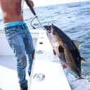 SANLIKE Telescopic Fishing Gaff Fiberglass Pole with Nonslip Rubber Handle Stainless Steel Hook with M8 Screw, Small