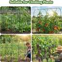 TOCCYARD Cucumber Trellis for Raised Bed, U-Shape Garden Trellis for Climbing Plants Outdoor, Metal Arch Trellis for Vegetables, Plant Support for Tomato, Pea, Zucchini, Squash