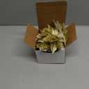 GREENTIME 12 Pcs Glitter Poinsettia 5.5" Artificial Flowers Christmas with Clips Stems Xmas Tree Ornaments for New Year Party Stairs Fireplace Porch Balcony Garden Church Wreath Decoration (Golden)