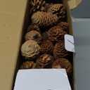 JOHOUSE 50PCS Large Natural Pinecone Ornaments, Pine Cones for Crafts, Pinecone Ornaments for Christmas Tree, Wreath Making, Winter Christmas Bowl Fillers, Winter Vase Filler