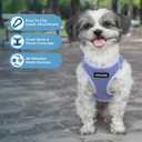Best Pet Supplies Voyager Step-in Air Harness - All Weather Mesh, Reflective, No Pull Harness for Dogs, Cats - Secure with Hook & Loop Fastener, Buckle, Double D-Rings - Lavender, M