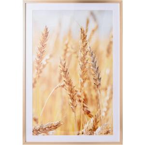wyooxoo 13x19 Picture Frame Poster Frame Gold Aluminum with Polished Plexiglass Horizontal and Vertical Formats for Wall