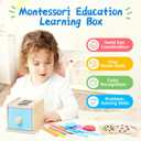 Montessori Toys for 1 2 3 Year Old, 4-in-1 Wooden Montessori Coin Box, Object Permanence Ball Drop Learning Color Sorting Toys for Toddlers 1-3, Gifts for 18 Months Baby Boys Girls