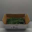 Joiedomi 9Ft Christmas Garland Prelit with 50 Count Light, Plug in Lighted for Home & Office Xmas Decorations Indoor and Outdoor Decor Holiday Decorations Xmas Garland Christmas Window Decor