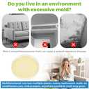 Mold Test Kit for Home-6 Simple Detection TestsTest HVAC System,Home Surfaces,Indoor Air Quality Testing KitsDIY Black Mold Detector at HomeIncludes Detailed Mold Identification Guide