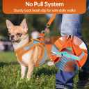 Premium Chihuahua Harness and Leash Set - Ultra-Comfy & Secure Dog Harness for Chihuahua