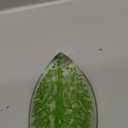 QFkris Crystal Tree of Life Decor Figurine for Home Decor, Office Desk, 3.7" Glass Tree of Life Paperweight for Positive Energy, Money, Good Luck Birthday Valentines Day Gifts for Women, Mom (Large)