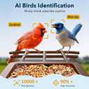 PeckCam Bird Feeder with Camera Solar Powered, AI Identify & Auto Capture, 2K HD Live Video Smart Bird Feeder Camera Instant Notifications in Backyard, Gift for Bird Lovers