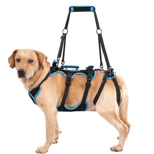 Lafoty Dog Lift Harness for Large Male Dogs, 2-in-1, Back Leg Support & Mobility Assistance for Senior Dogs, Post-Surgery Recovery Sling(Black, Large)