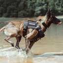 EXCELLENT ELITE SPANKER Tactical Dog Harness Vest with Handle Military Dog Harness Adjustable Training Harness No Pull Dog Harness for Small Medium Large Dogs(Ranger Green-M) (M (Chest:27.5''-35.4''))