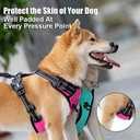PoyPet No Pull Dog Harness, Reflective Comfortable Vest Harness with Front & Back 2 Leash Attachments and Easy Control Handle Adjustable Soft Padded Pet Vest for Small to Large Dogs (Pink,S)