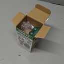 Haakaa Baby Fruit Food Feeder & Mini Freezer Nibble Tray Combo, Breastmilk Popsicle Molds for Baby Cooling Relief, BPA Free Silicone Feeder for Safe Infant Self Feeding, 4 Month+ (Blush)