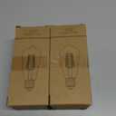 12V Edison Bulb Low Voltage Warm White 2700K E26 Base, DC/AC 12V 24V 36V LED Light Bulbs 40W Equivalent Smoky Grey Glass for RV Camper, 2 Pack