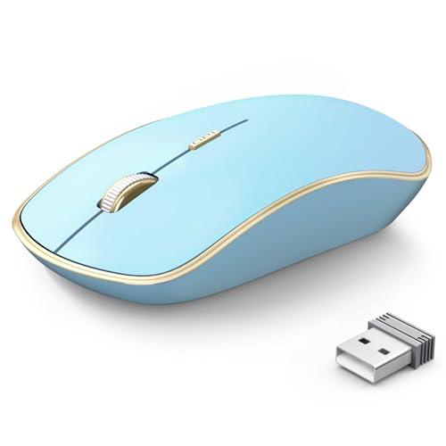 JOYACCESS Wireless Mouse for Laptop | 5 DPI Levels, Silent for Notebook, MacBook, Chromebook, PC - Blue