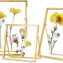 REDHUGO Glass Frame for Pressed Flowers Handmade, Double Glass Floating Picture Frame Set, Brass Photo Frame, Standing Frame Set, Small Picture Frame, Gifts for Family, 44", 46", 57", Gold