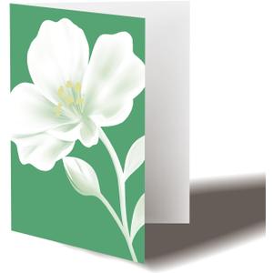 20PCs, Elegant Atrovirens and Floral Greeting Cards with Envelopes for all Occasion  Blessing, Thank You, Grateful Notes with Glitter Stickers, 4x6 inch.
