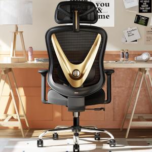HOLLUDLE Ergonomic Mesh Office Chair - 3D Adjustable Lumbar Support & 3D Armrests, V-Shaped Back, Adjustable Desk Chair for Office & Home, Black and Gold, Medium
