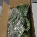 Reptile Plants for Bearded Dragon Tank Accessories, Terrarium Plant Artificial Decor for Snake Cage, Fake Plant for Leopard Gecko Habitat, Lizard Chameleon Ball Pythons (Group BN)