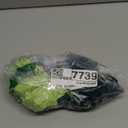 Hanes Boys' Versatile (Large, Multicolor)