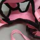 rabbitgoo Cat Harness and Leash for Walking, Escape Proof Soft Adjustable Vest Harnesses for Cats, Easy Control Breathable Reflective Strips Jacket, Pink, M