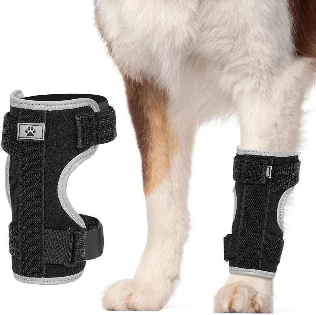 Dog Front Leg Brace with Removable Metal Springs- Adjustable Reflective Ankle Wrap for Dogs, Anti-Slip Reverse-Buckle Design & Breathable Soft Fabric for Arthritis, Sprains, Injury Recovery (Black, M)