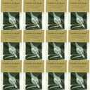 Pack of 12 6 Watt Large Candle-lite Light Bulbs
