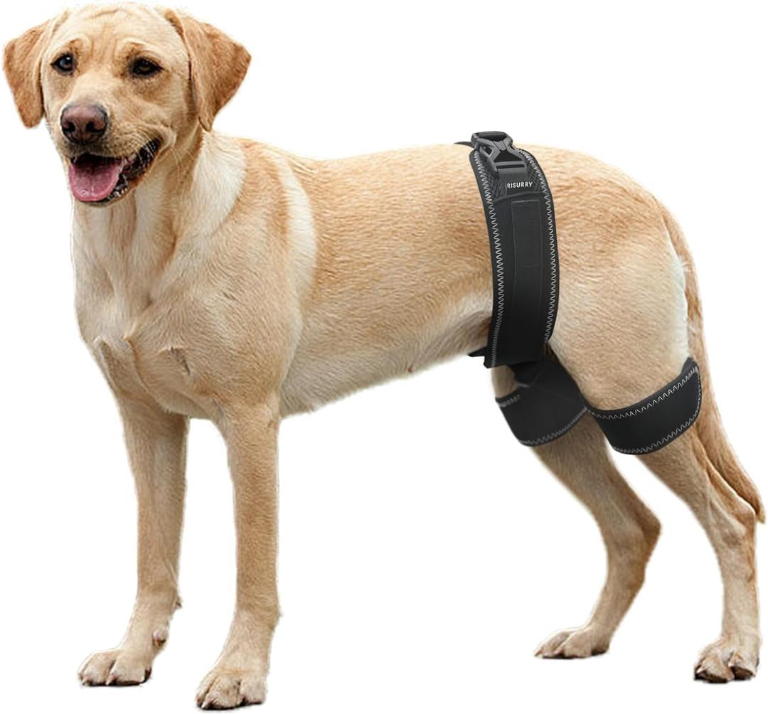 CHAMIN Dog Hip Orthotics Brace, Dog Hip Dysplasia Brace Harness, Support for Hip Dysplasia, Luxating Patella, Relieve Hip Pain, Prevent Hip Joint Diseases and Assisted orthopedics, (Large)