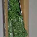 5 ft. Green Pre-Lit Fiber Optic PVC Classic Artificial Christmas Tree with 449 Branch Tips