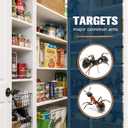 Ant Away Repellent Indoor Use, Keep Ants Away for Outdoor, Helps Keep Sugar Ant & Black Ants Away for Kitchen, Cabinets & Entry Points, Kid & Pet Safe-6P