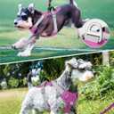 TagME No Pull Dog Harness with 2 Leash Clips,Lightweight & Visible for All-Day Walking,No Choke Pet Vest Includes AirTag Holder for Puppy,Fuchsia Pink
