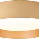 Bargeni Flush Mount Ceiling Light, 16.5 Inch LED Ceiling Light Fixture, Polished Gold Finish, Dimmable/3000K/18W, Outdoor Flush Mount Lighting Fixture