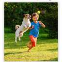 ALPI Chomp Ball - Durable Chew Toys for Dogs & Other Pets - Stimulating Dog Toys for Aggressive Chewers - Soft Dog Chews - 3-Pack, Neon Yellow