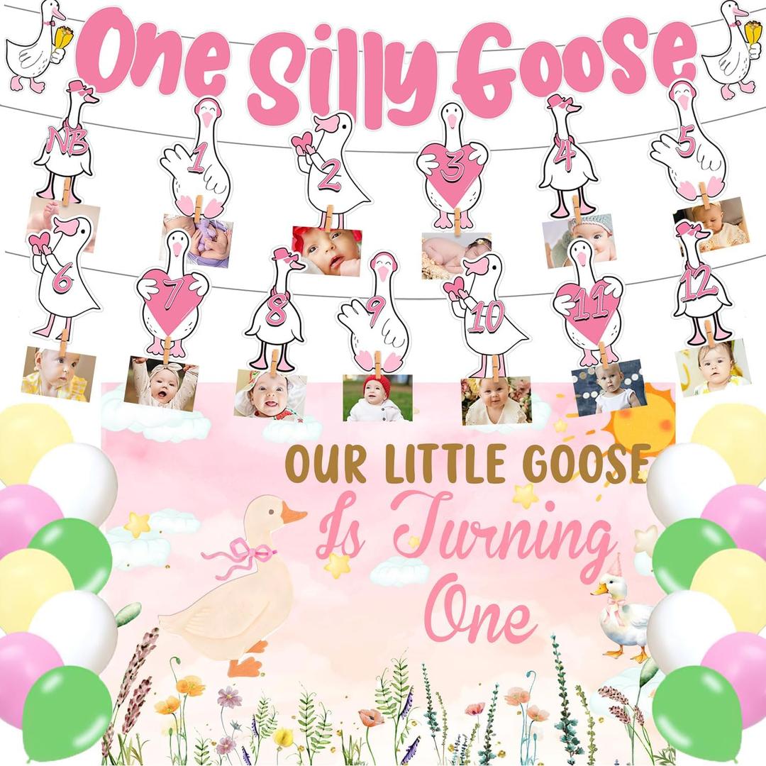 One Silly Goose1st Birthday Party Supplies,Pink Silly Goose Photo Banner ,Backdrop,Ballon,Hanging Decorations for Baby Shower Girls First Party Decorations