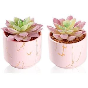 Zenmag Fake Succulents, Mini Succulents Plants Artificial in Pink Ceramic Pots for Desk Livingroom Bathroom and Home Decoration Office Decor for Women Set of 2 Artificial Succulents